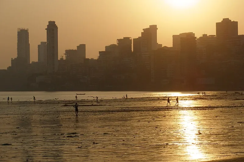 Dollars, Distance, and Desire: What the Numbers Actually Say About Americans Booking Companions in Mumbai