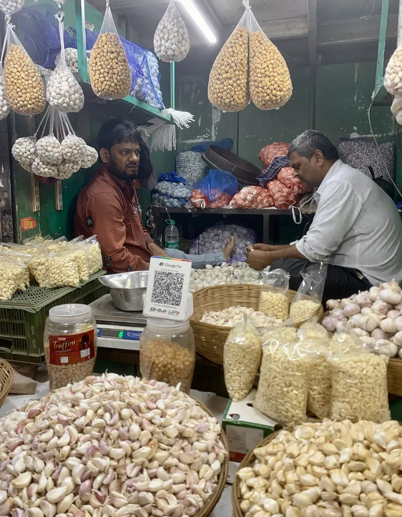 Skip the Taj Mahal Tour Bus: How a Local Companion Unlocks the Real Mumbai