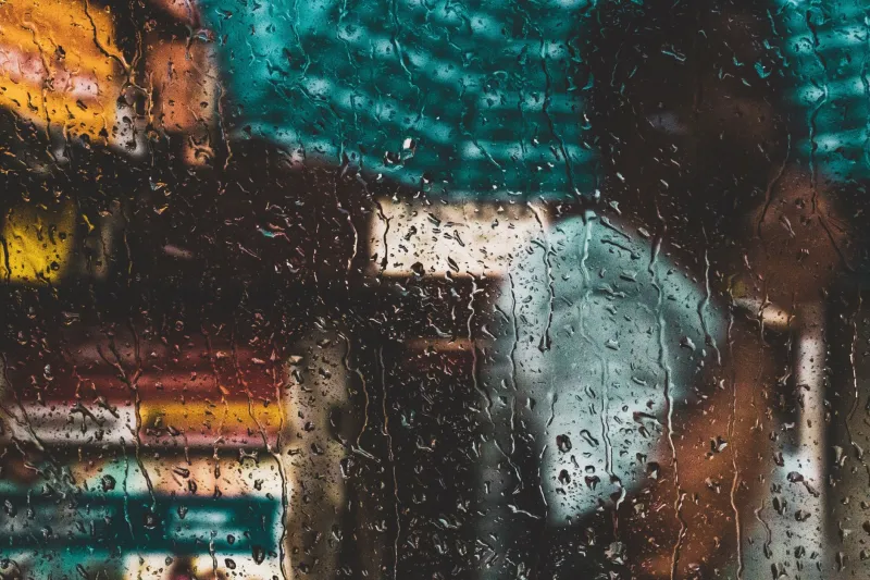 Rain Check? Why Mumbai's Wet Season Is the Best-Kept Secret for Companion Bookings