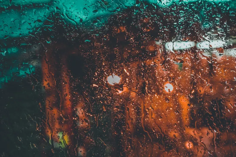 Timing Is Everything: How Mumbai's Seasons Reshape the Companion Experience
